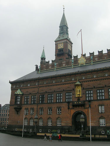 Vindfløj / Weather vane