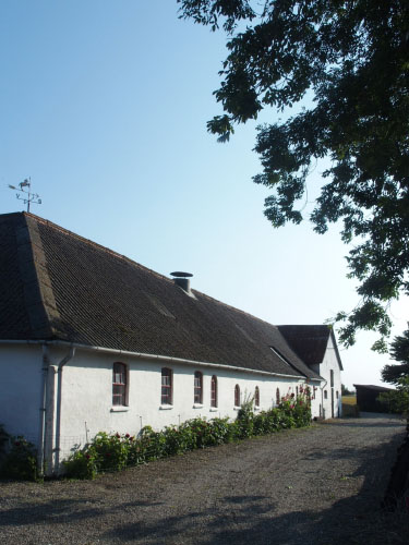 Vindfløj / Weather vane