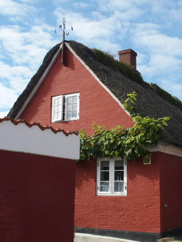 Vindfløj / Weather vane