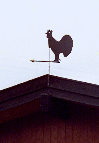 Vindfløj / Weather vane