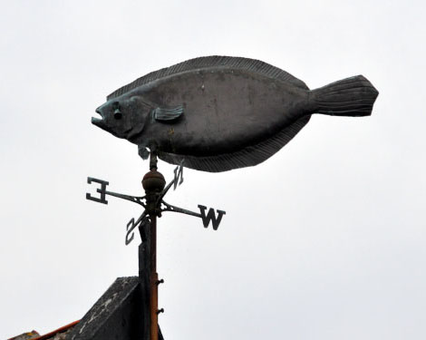 Vindfløj / Weather vane