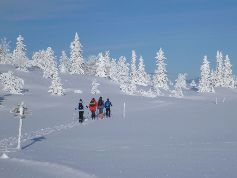 Gålå 2014