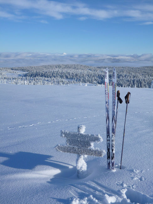 Gålå 2014