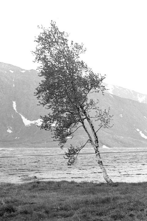 Jotunheim 76