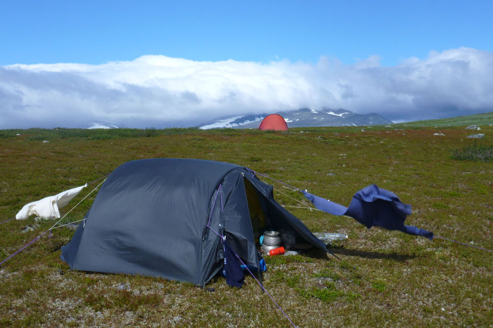 Sarek