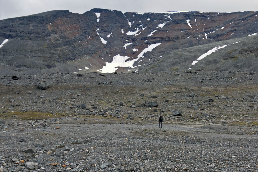 Sarek