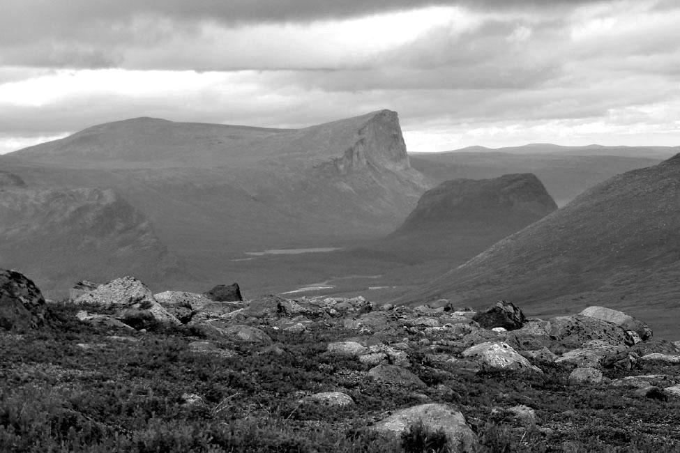 Sarek