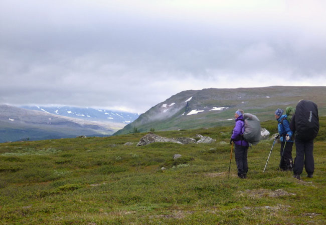 Sarek
