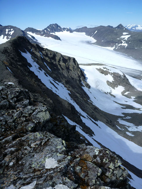 Sarek