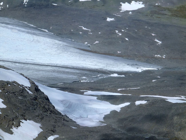 Sarek
