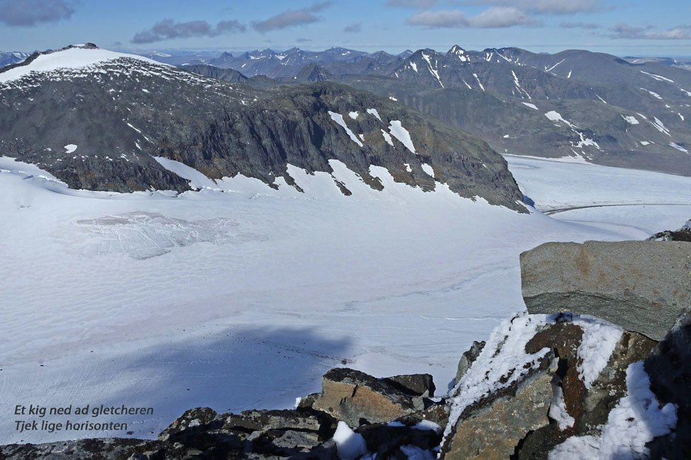 Sarek