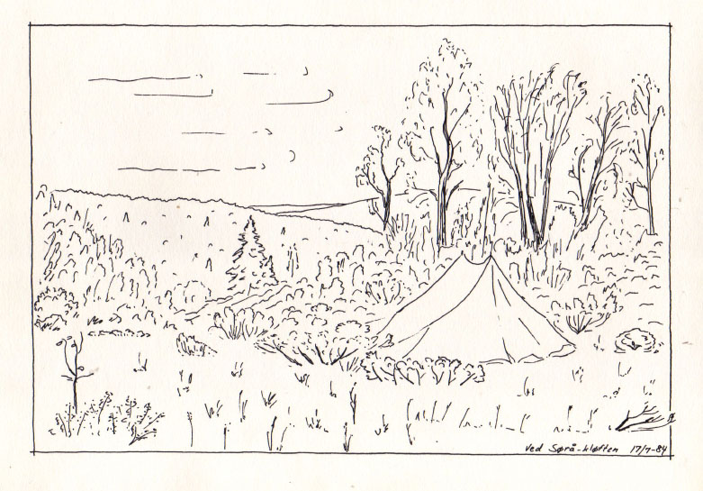 Ringebu 1984