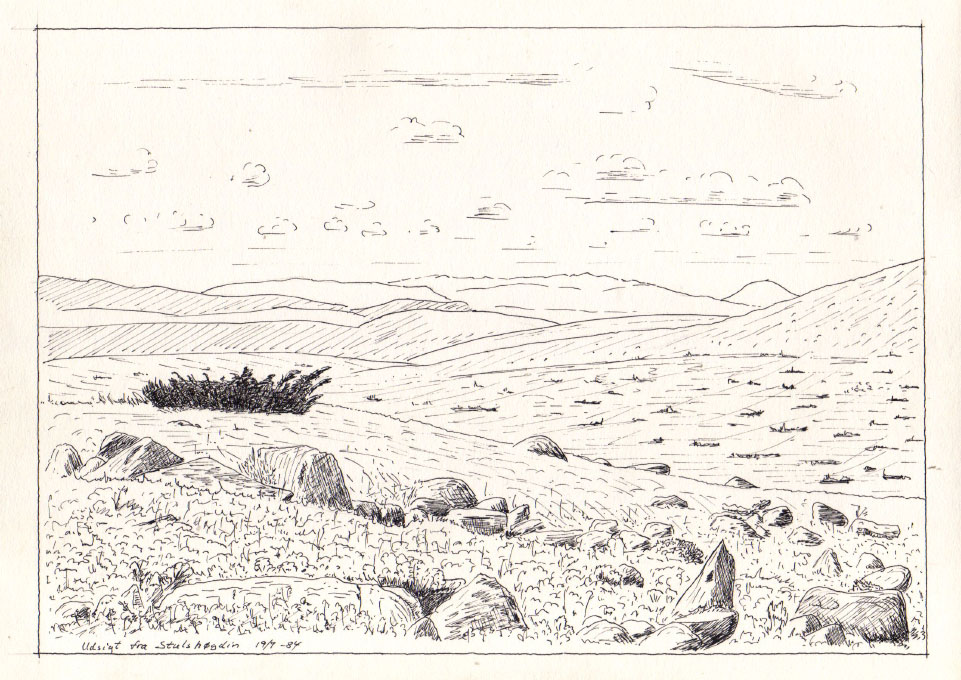 Ringebu 1984