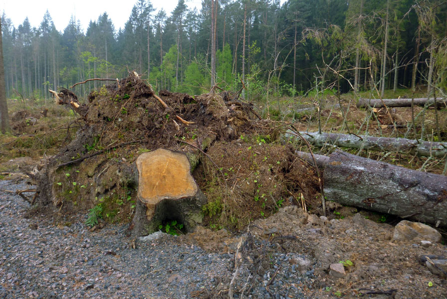 Hallandsåsen maj 2014