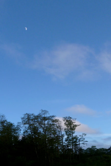 Hallandsåsen maj 2014