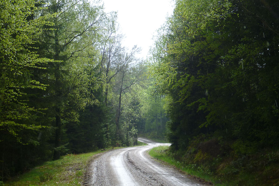 Hallandsåsen maj 2014