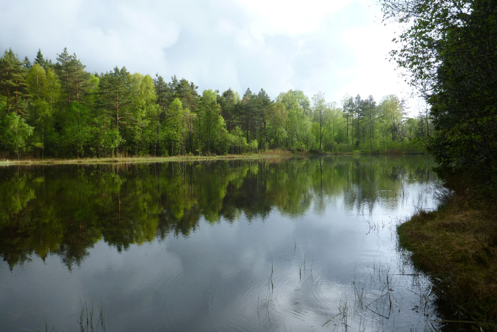 Hallandsåsen maj 2014