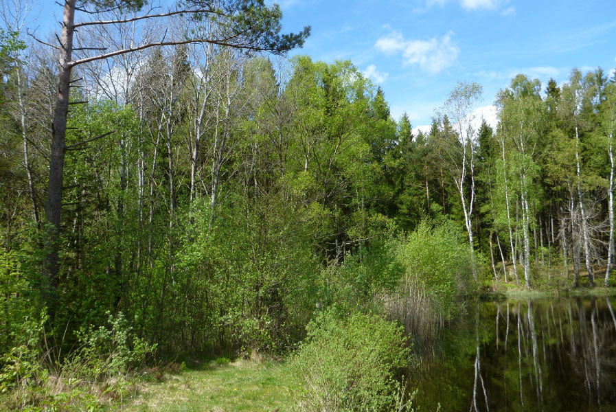 Hallandsåsen maj 2014
