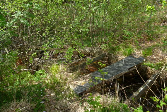 Hallandsåsen maj 2014