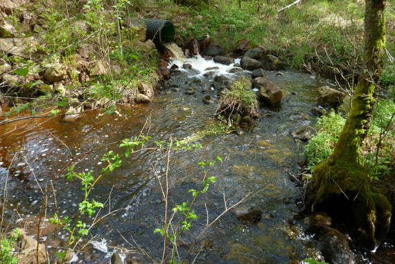 Hallandsåsen maj 2014