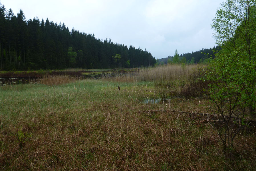 Hallandsåsen maj 2014