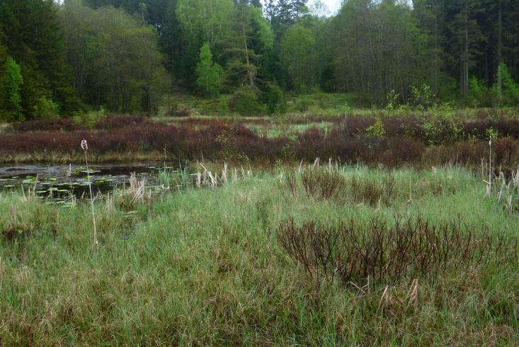 Hallandsåsen maj 2014