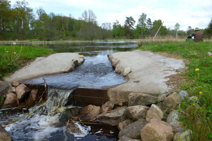Hallandsåsen maj 2014