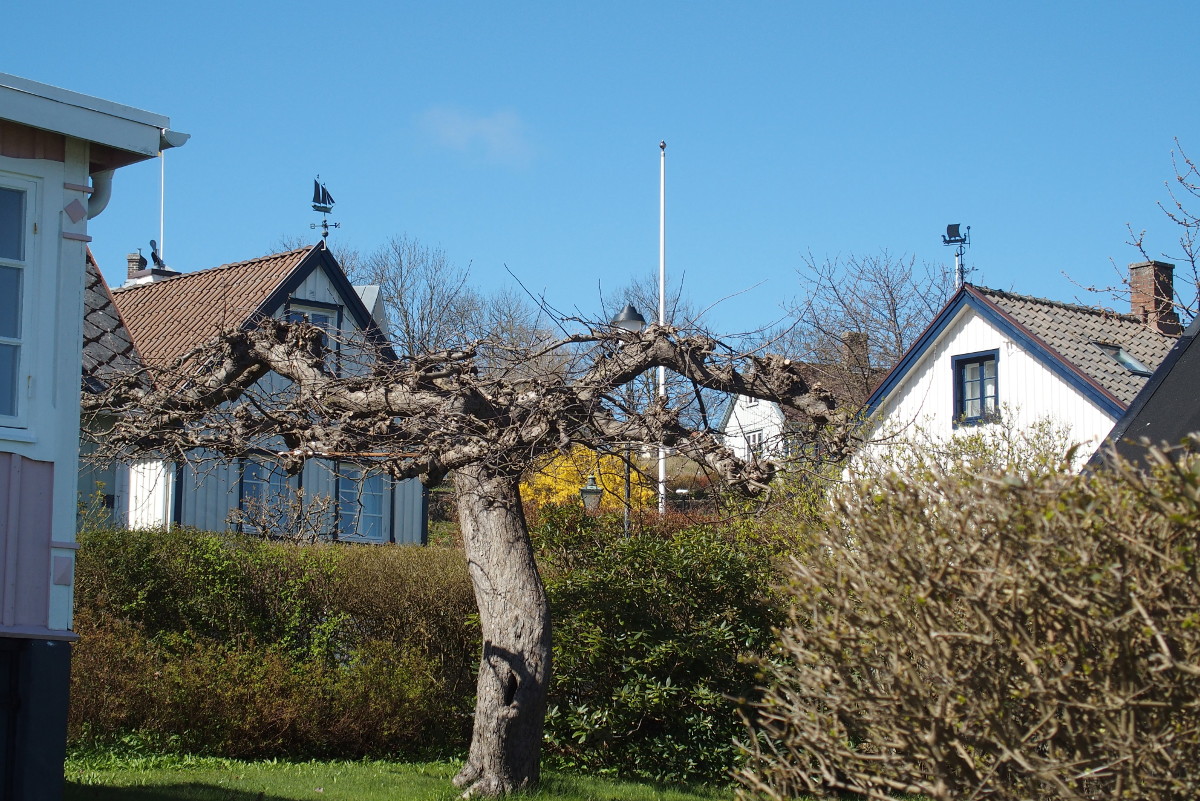 Kullaleden