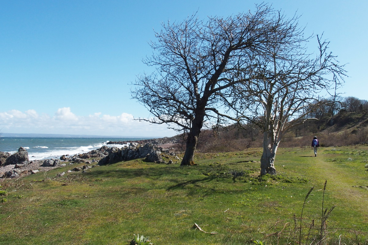 Kullaleden