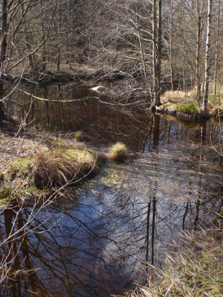 Österlenleden