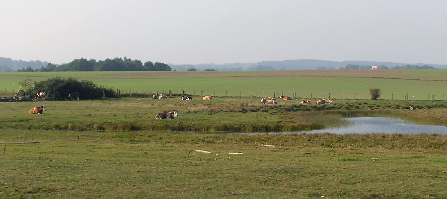 Kivik-Vitemölla, Österlen, Sverige