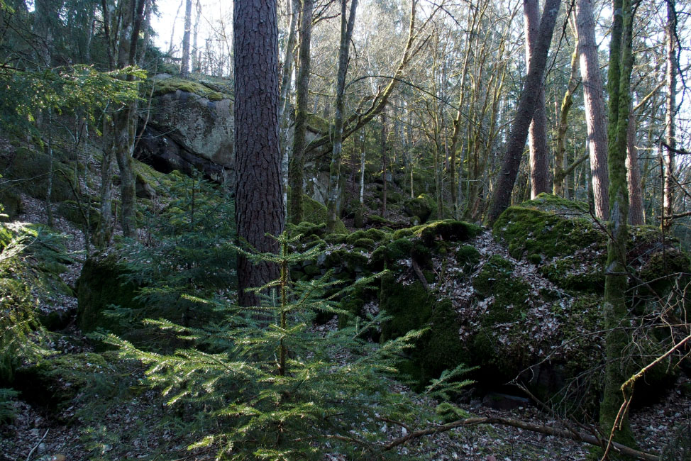 Skåneleden april 2015