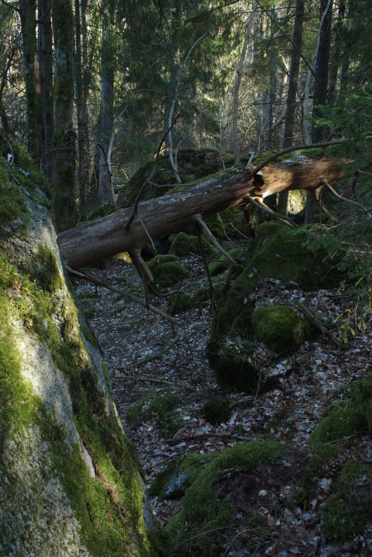 Skåneleden april 2015