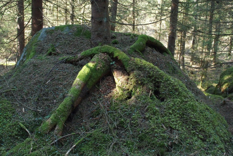 Skåneleden april 2015