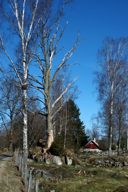 Skåneleden april 2015