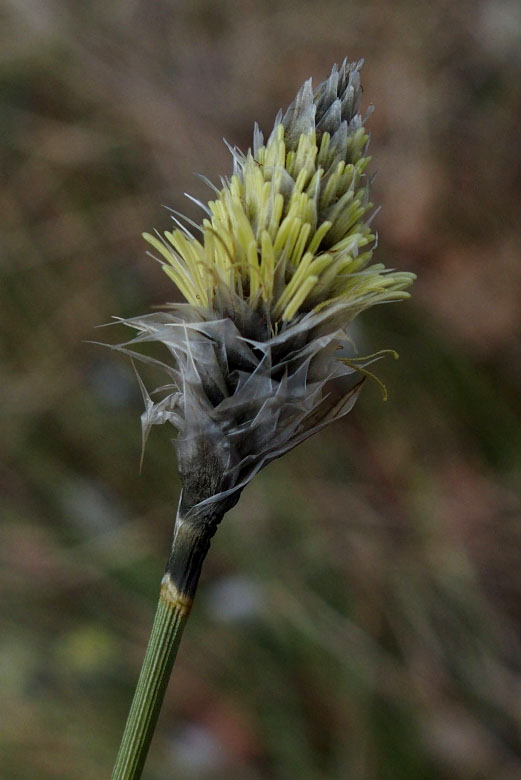 Skåneleden april 2015