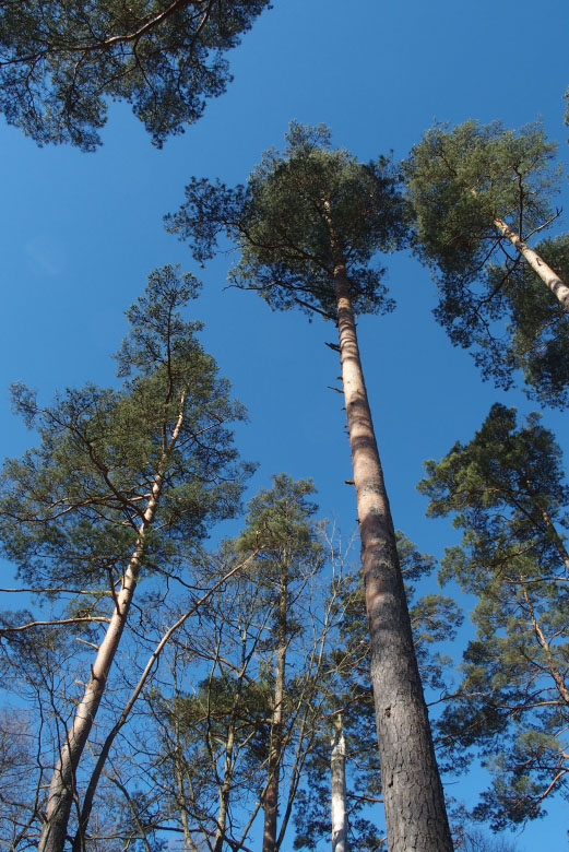         Skåneleden april 2015