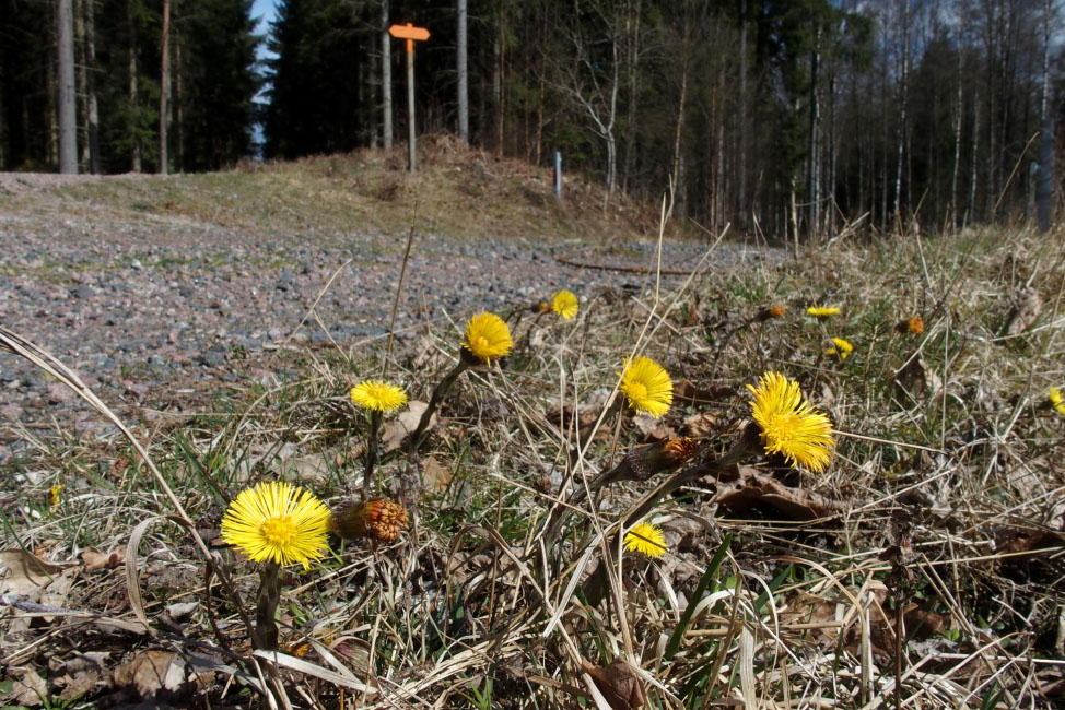         Skåneleden april 2015