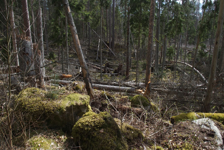         Skåneleden april 2015