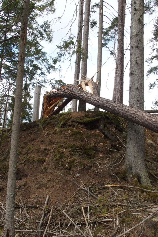         Skåneleden april 2015