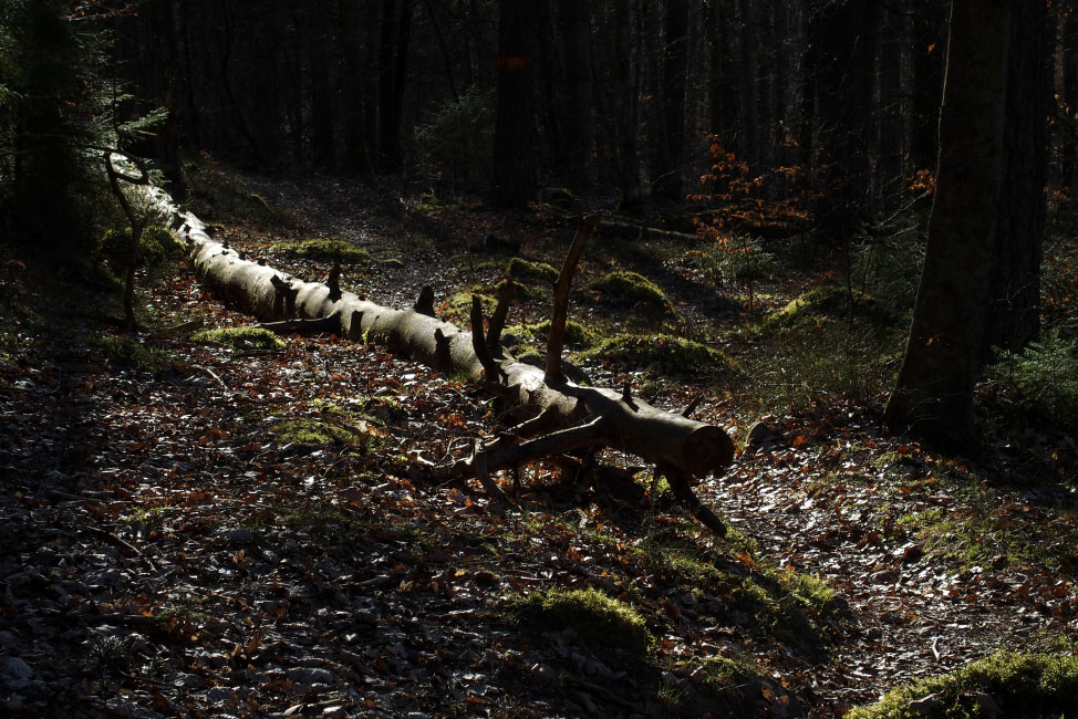         Skåneleden april 2015