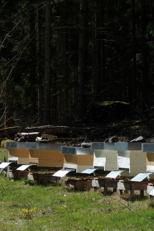         Skåneleden april 2015