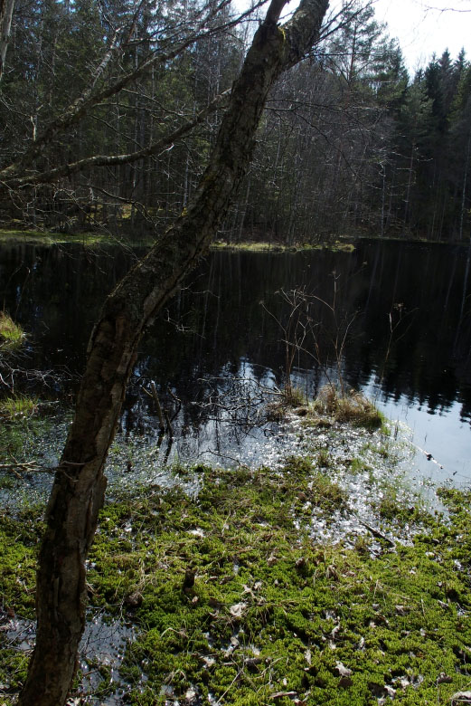         Skåneleden april 2015