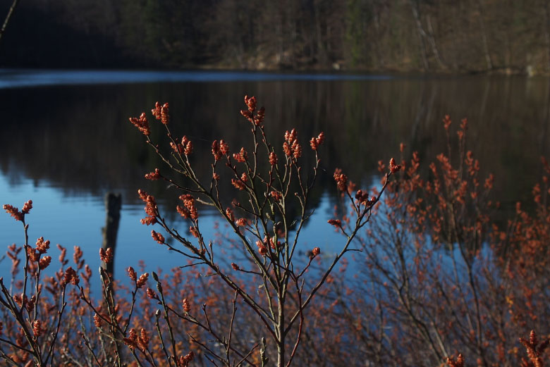         Skåneleden april 2015