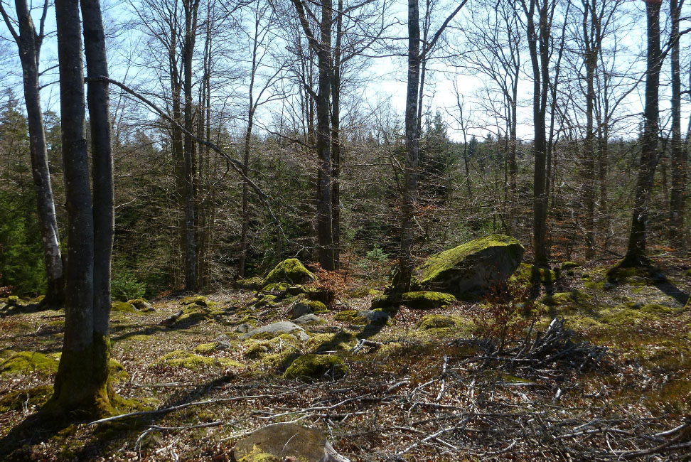         Skåneleden april 2015