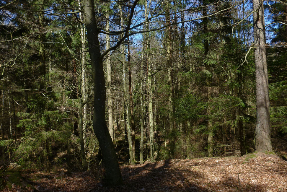         Skåneleden april 2015