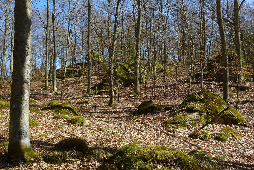         Skåneleden april 2015