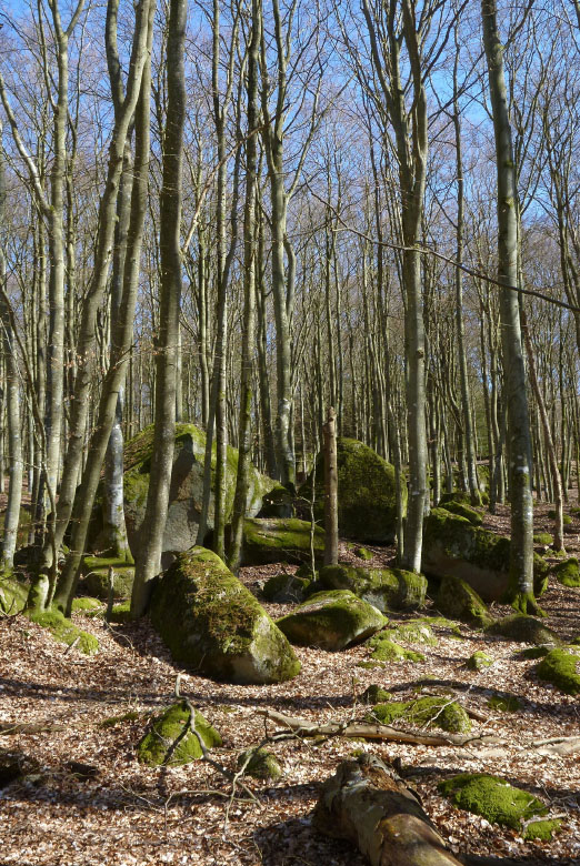         Skåneleden april 2015