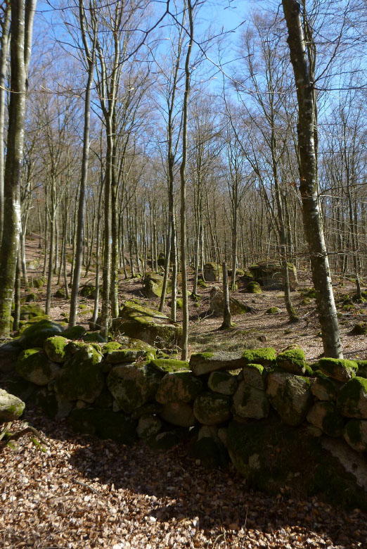         Skåneleden april 2015