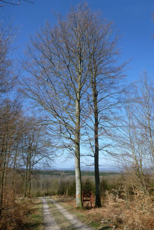         Skåneleden april 2015